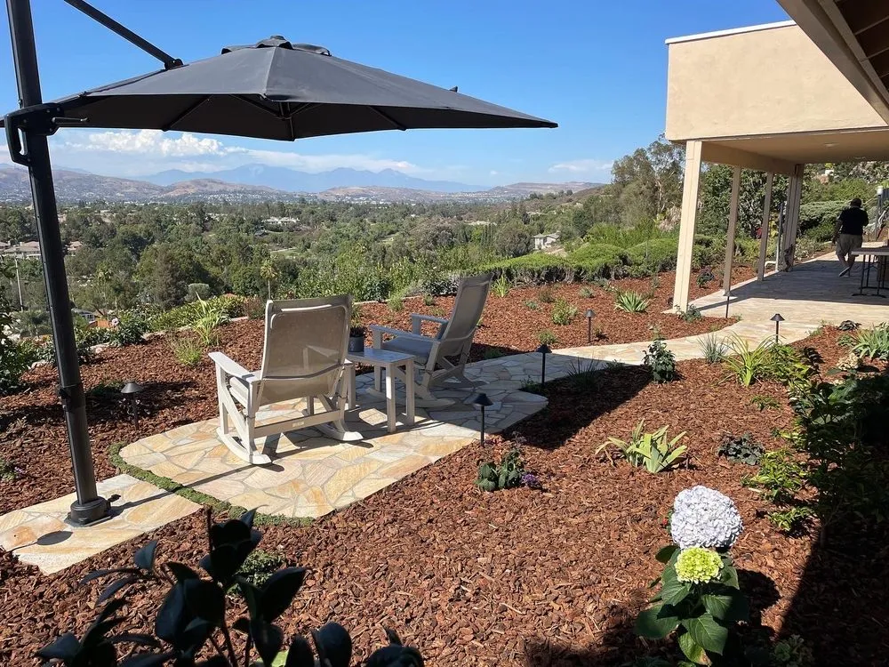 Trusted yard cleanup service in Anaheim, CA by Vera Landscape