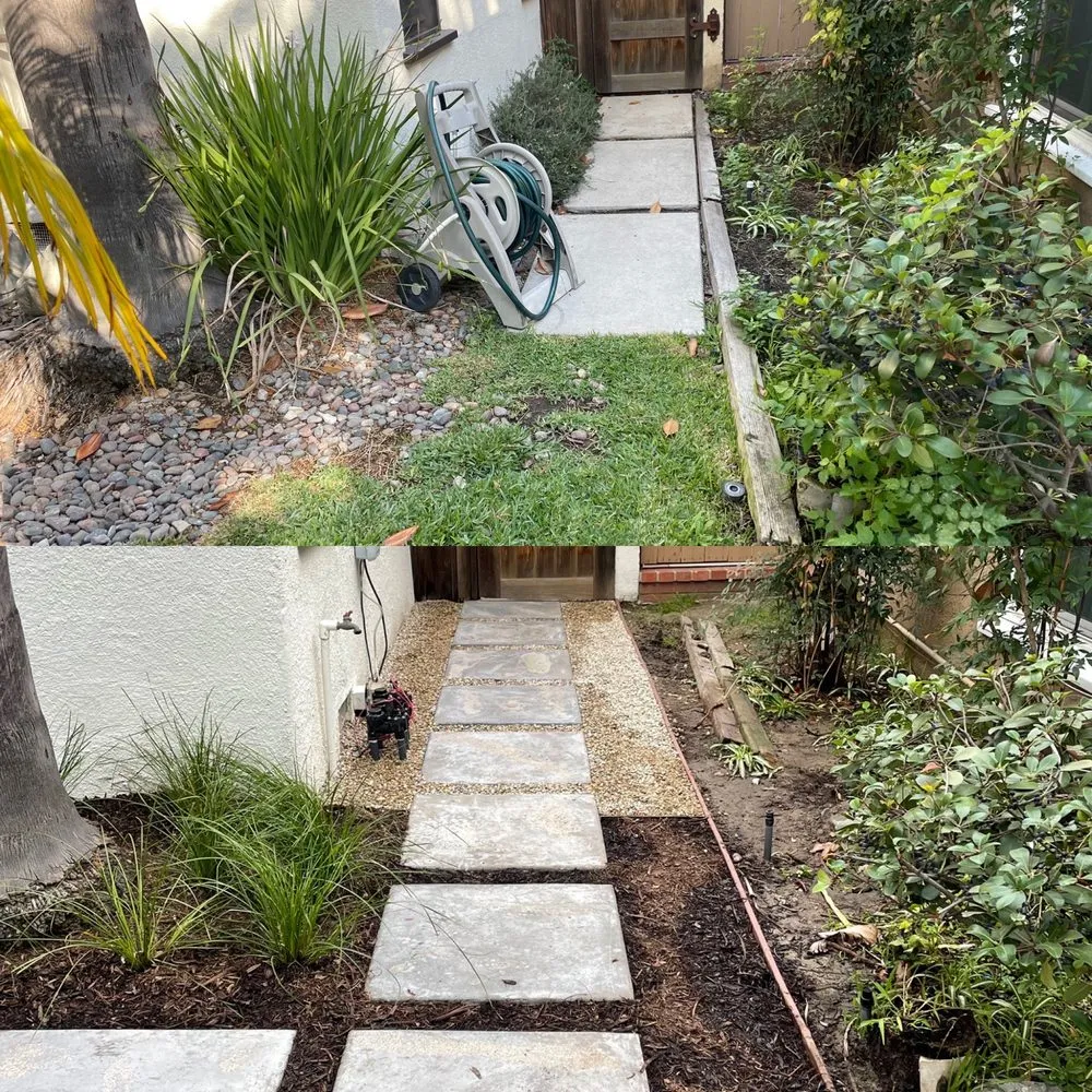 Trusted yard maintenance for year-round maintenance across Anaheim, CA - Vera Landscape