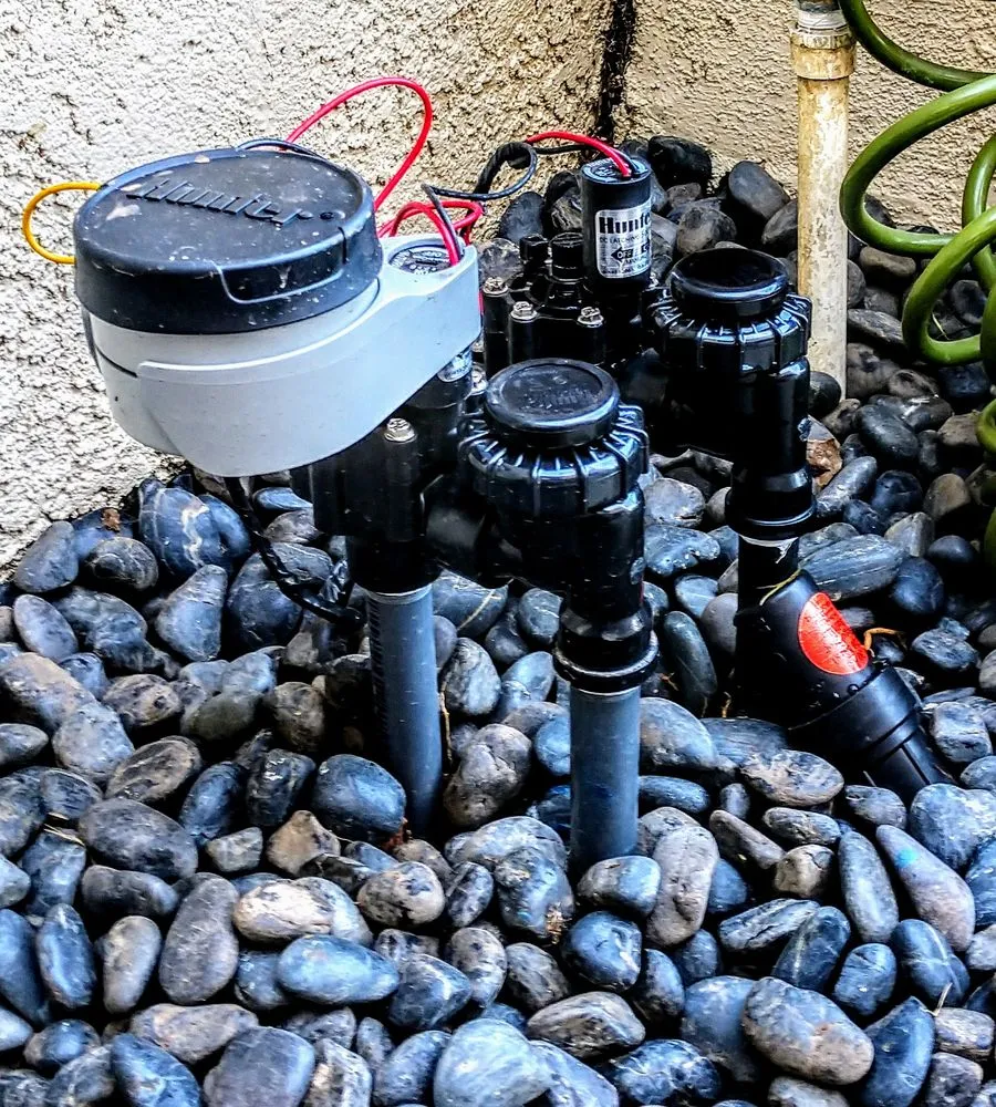 Affordable yard cleanup service in Anaheim, CA - Vera Landscape