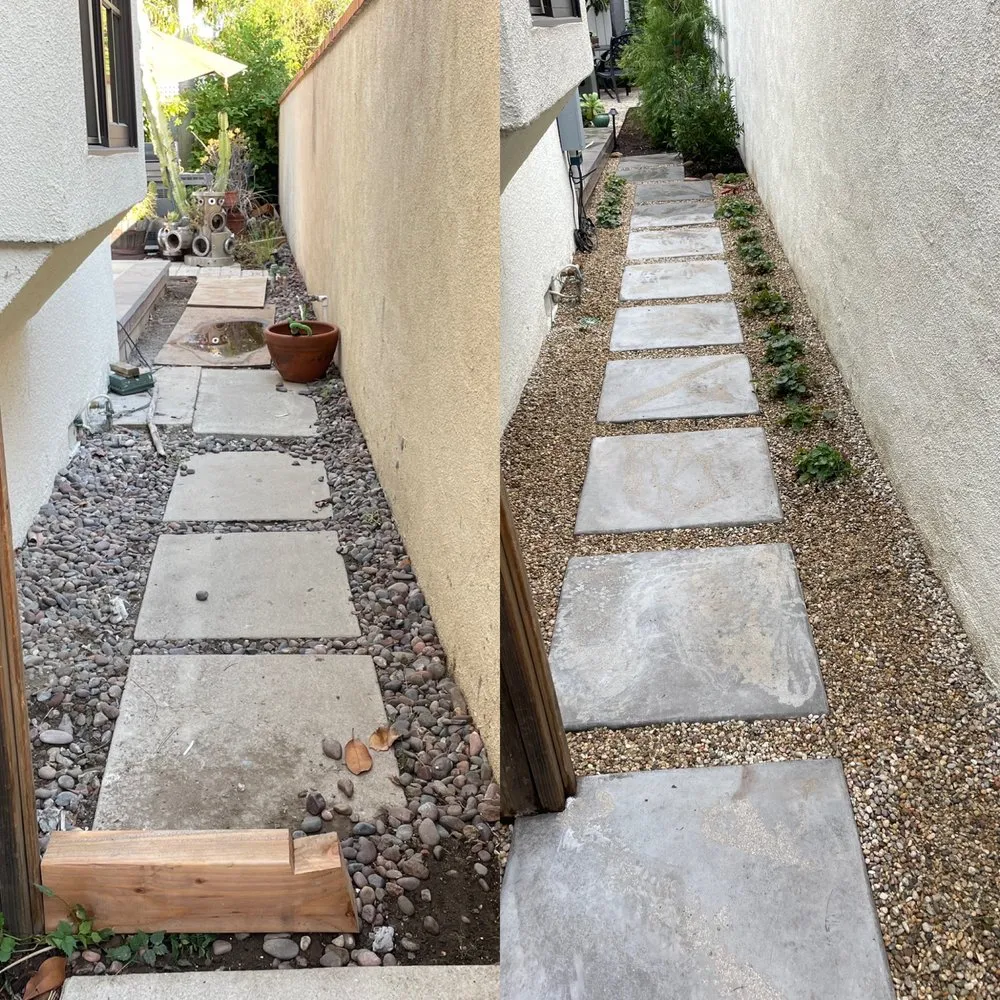 Affordable landscaping services in Anaheim, CA by Vera Landscape