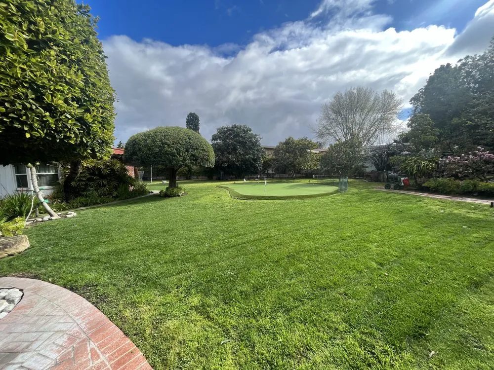 Trusted yard cleanup service experts serving Carson, CA - Vera Landscape