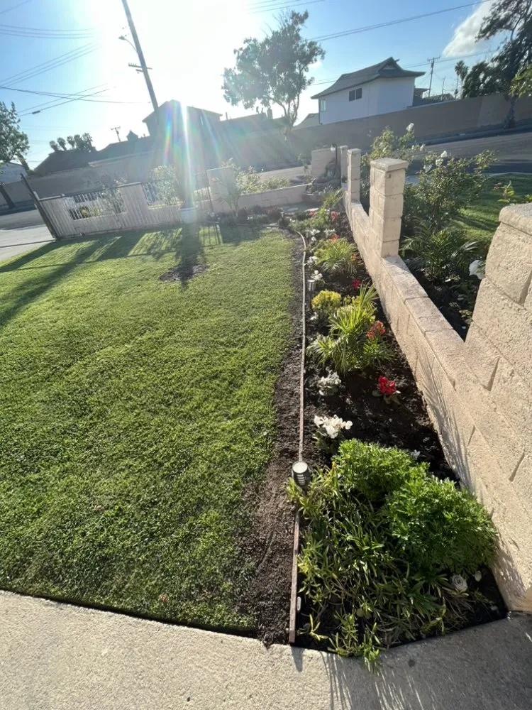 Expert lawn care service near you in Carson, CA by Vera Landscape