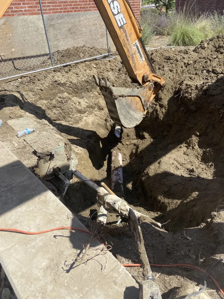 Reliable lawn care service for beautiful yards in Carson, CA by Vera Landscape