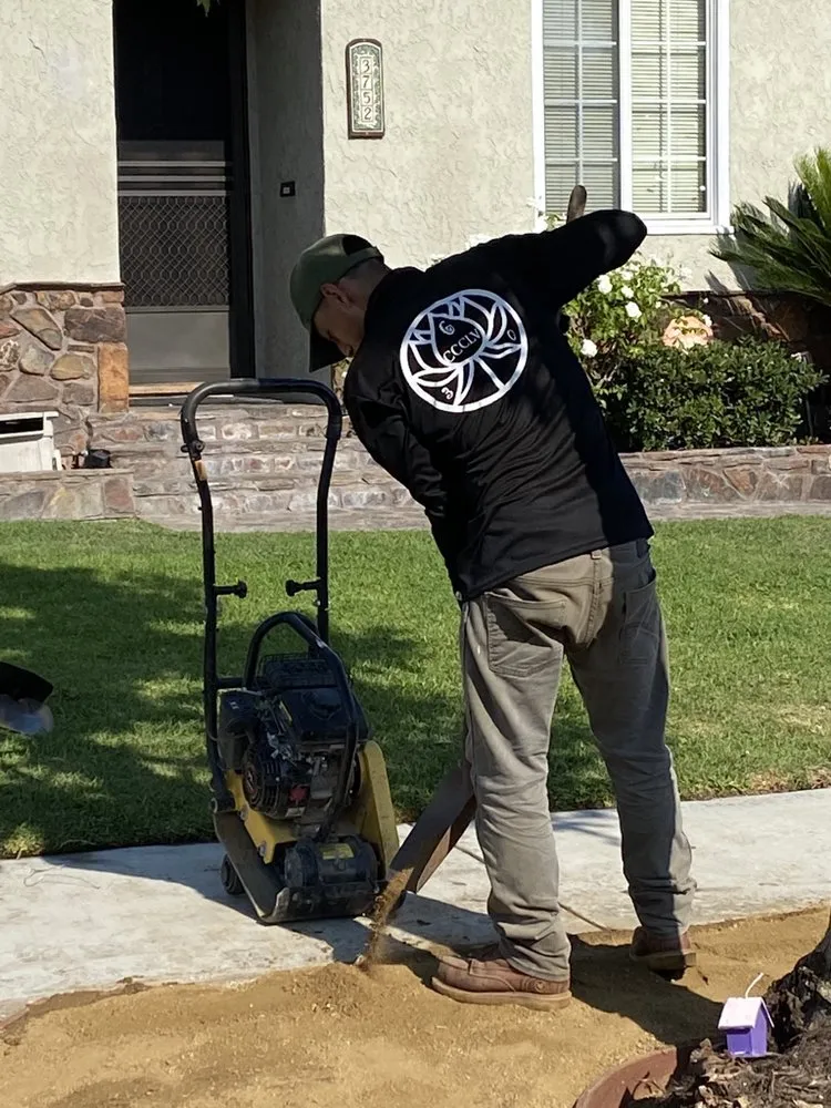 Expert yard cleanup service in Carson, CA by Vera Landscape