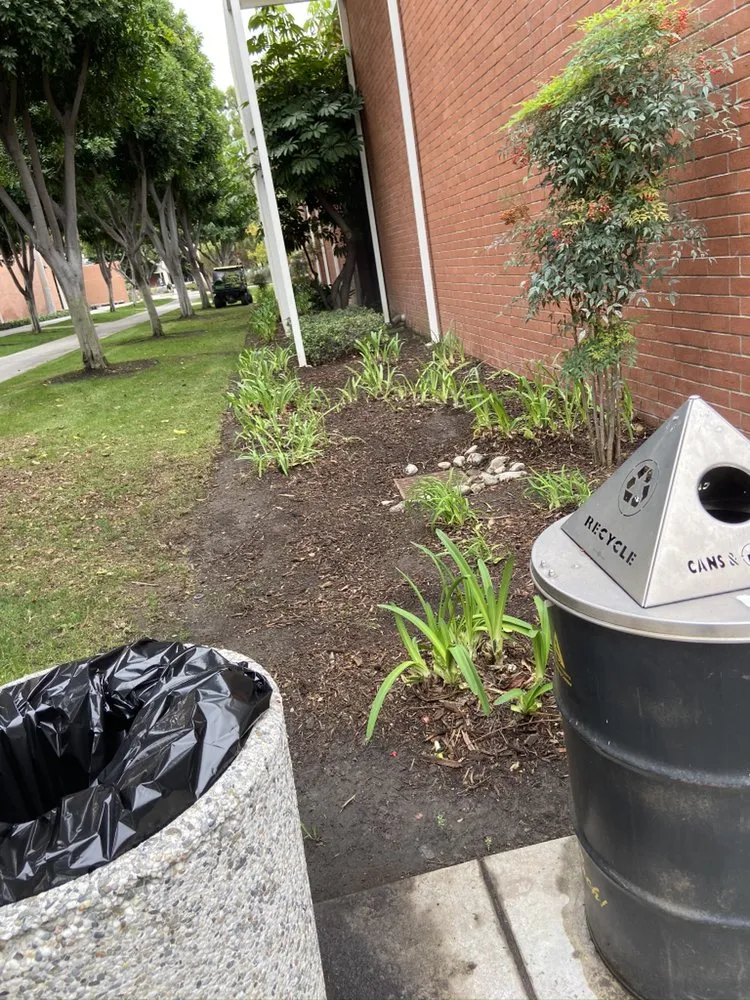 Custom landscape installation for residential properties in Carson, CA by Vera Landscape