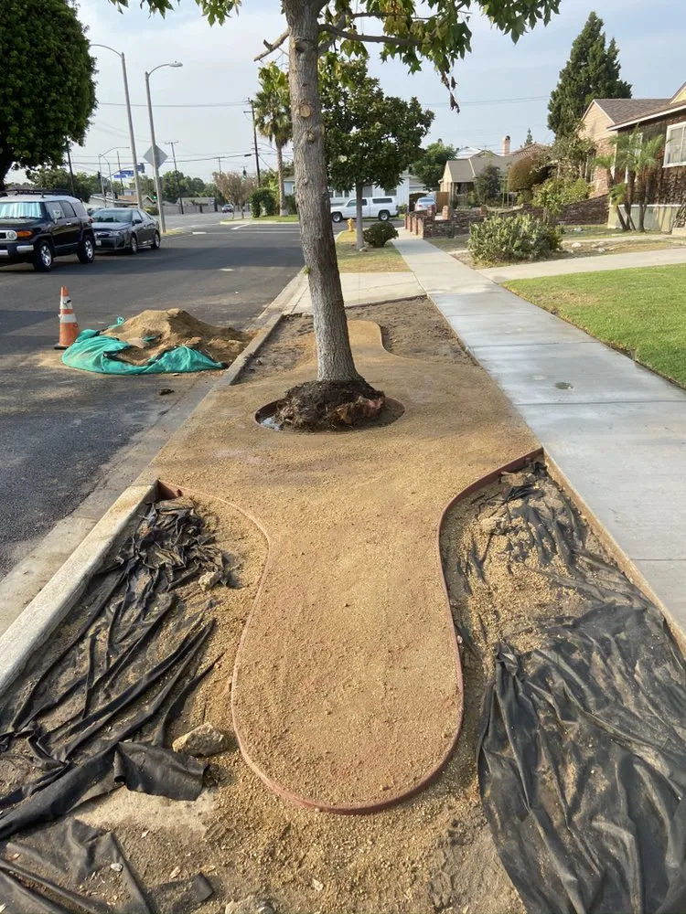 Trusted residential landscaping for homes in Carson, CA by Vera Landscape