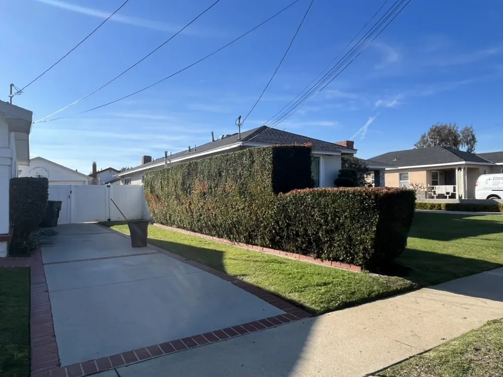 Professional lawn mowing service in Carson, CA - Vera Landscape