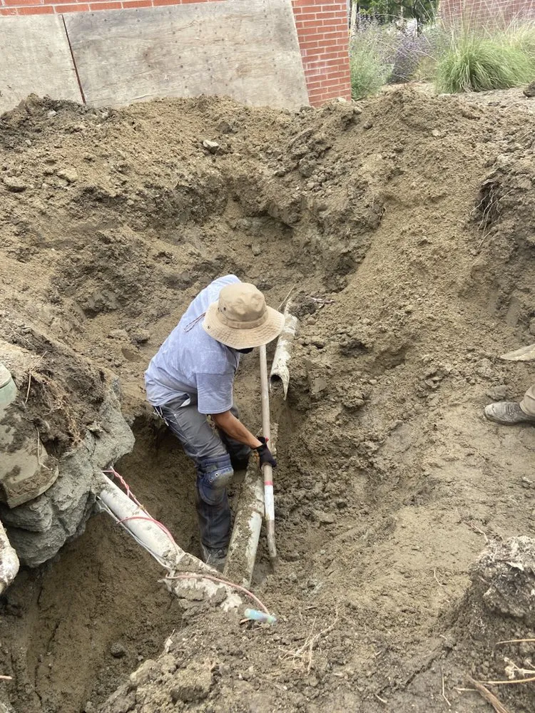 Expert landscape design for outdoor upgrades across Carson, CA - Vera Landscape