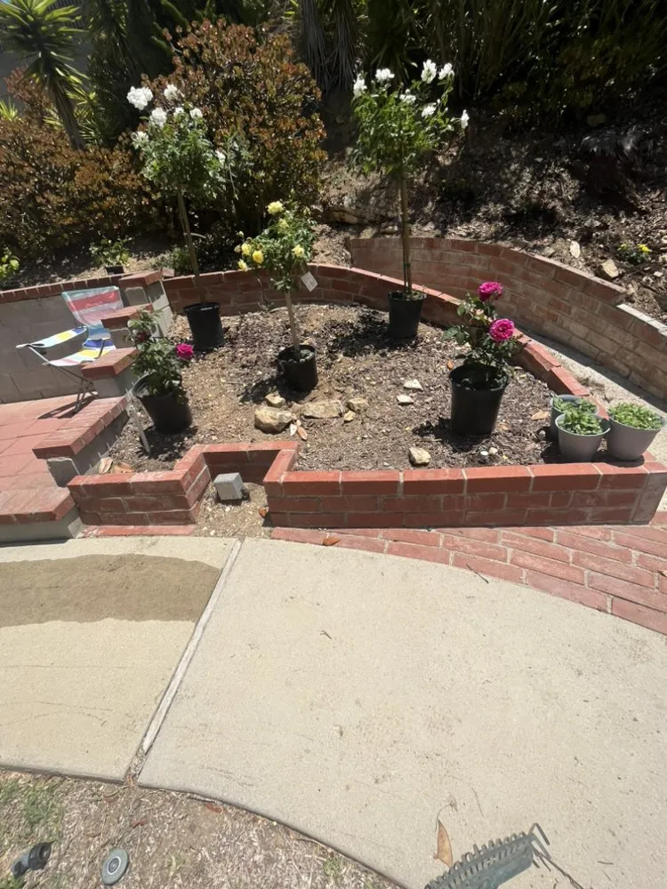 Custom lawn care service for beautiful yards in Carson, CA by Vera Landscape