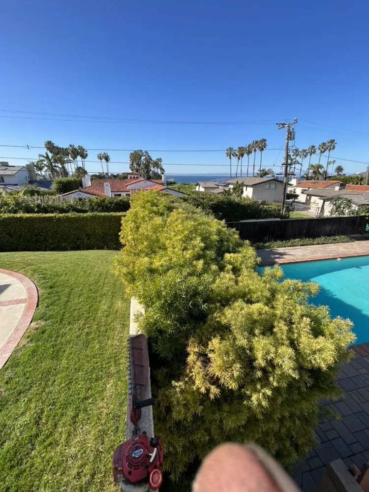 Expert lawn care service for year-round maintenance across Carson, CA - Vera Landscape