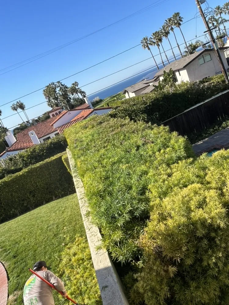 Custom landscaping services near you in Carson, CA by Vera Landscape