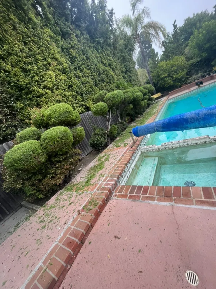 Reliable residential landscaping for residential properties in Carson, CA by Vera Landscape