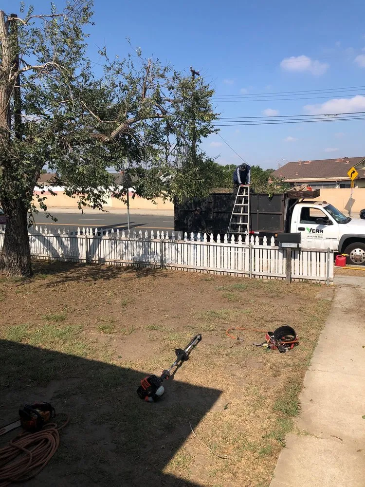 Local garden landscaping for residential properties across Gardena, CA - Vera Landscaping & Gardening