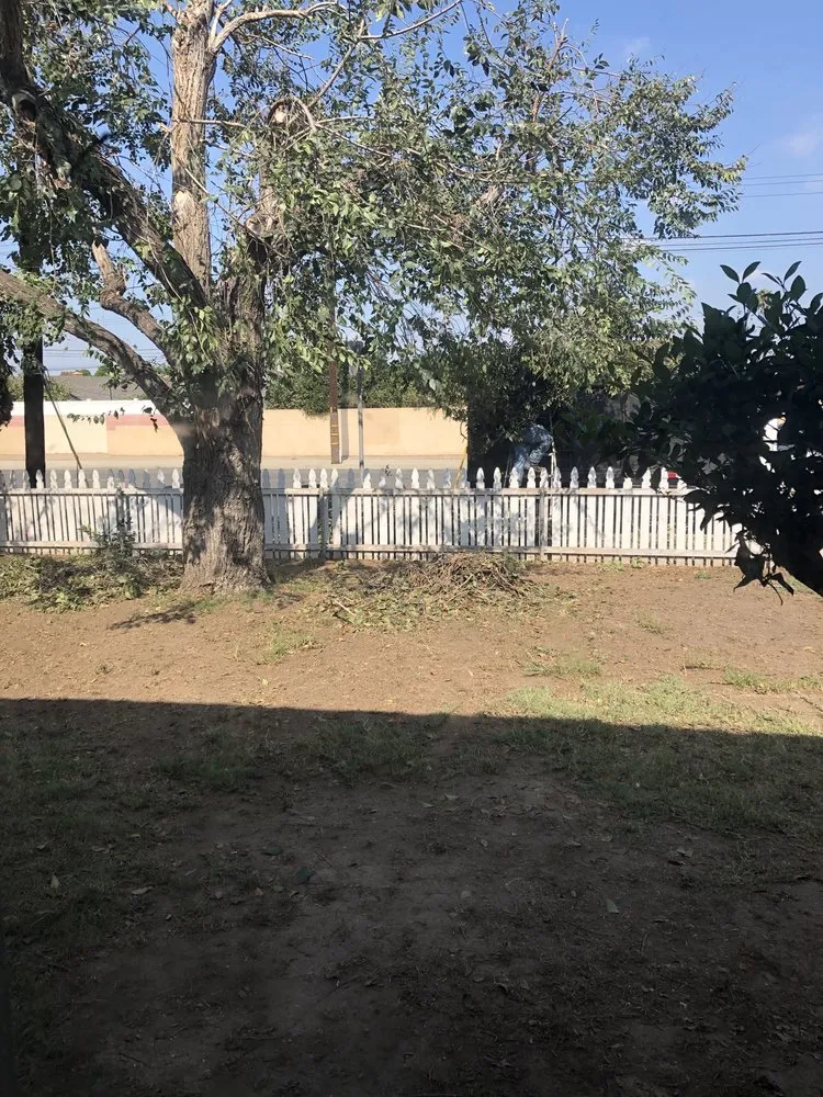 Affordable lawn mowing service in Gardena, CA - Vera Landscaping & Gardening