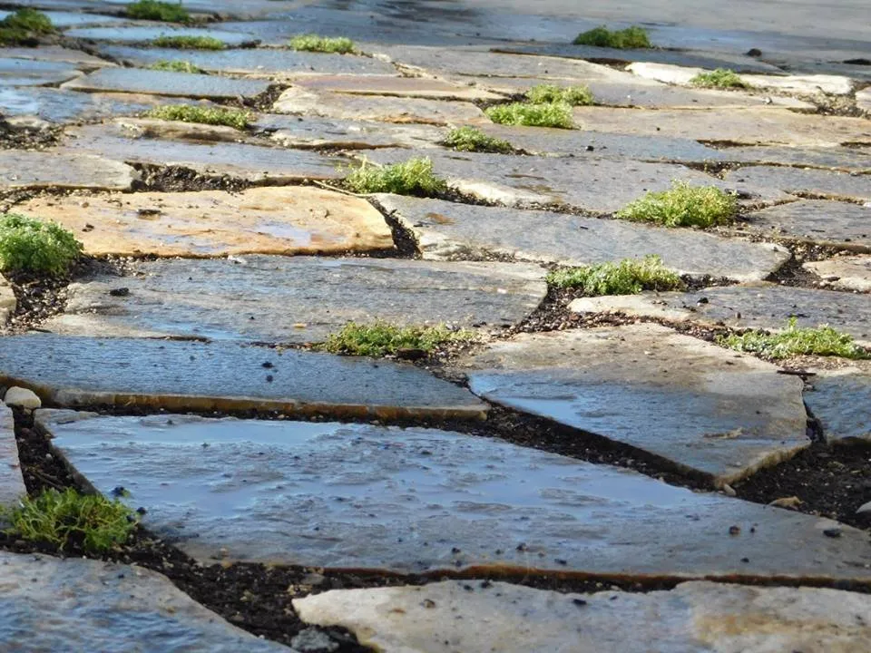 Expert lawn mowing service experts serving West Valley City, UT - Vera Landscaping