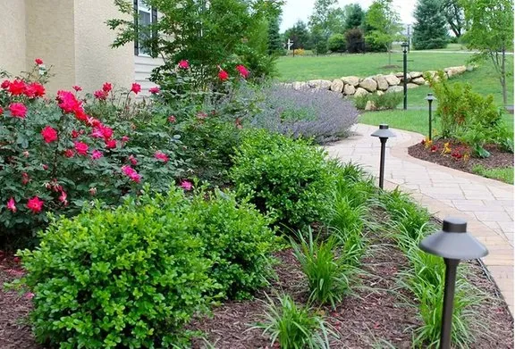 Trusted yard cleanup service near you across Exton, PA - Vera Marie Landscapes