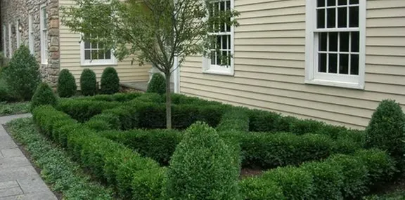 Trusted yard maintenance in Exton, PA by Vera Marie Landscapes