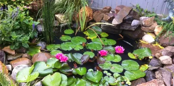 Custom outdoor landscaping experts serving Exton, PA - Vera Marie Landscapes