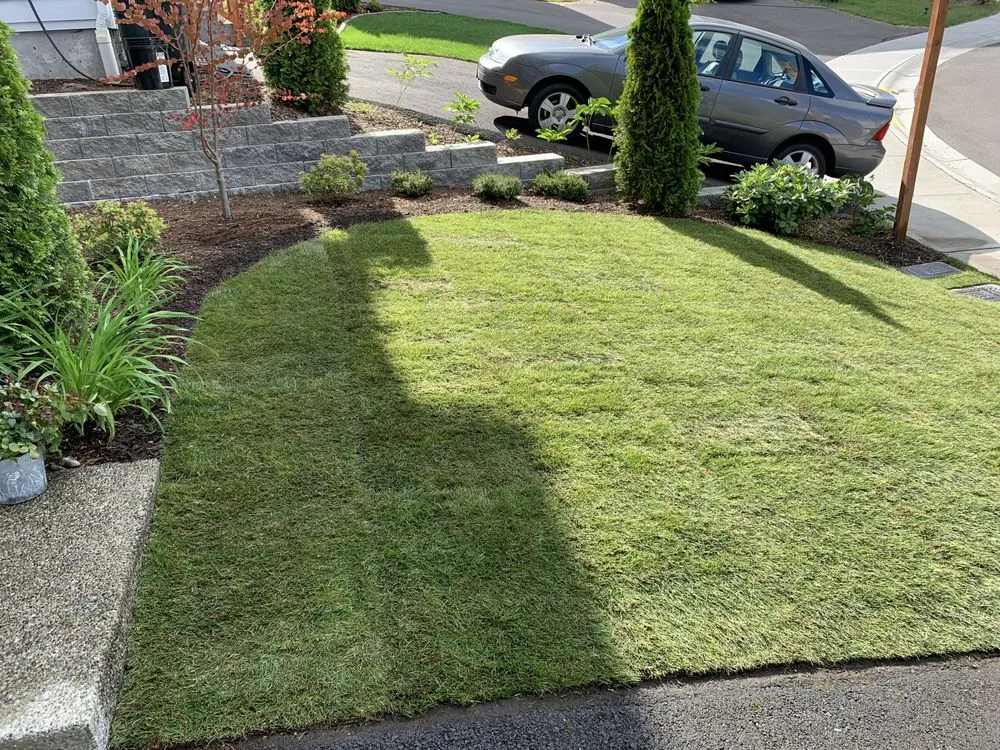 Local yard cleanup service for beautiful yards across Burien, WA - Verano Landscaping