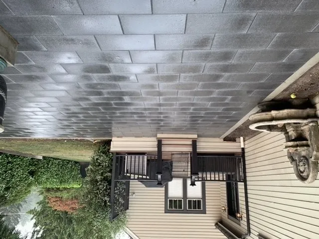 Local landscape design experts serving Burien, WA - Verano Landscaping