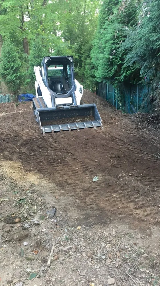 Local yard cleanup service experts serving Pittsburgh, PA - Verardi Landscapes