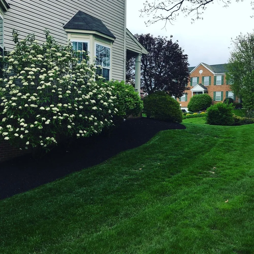 Reliable yard cleanup service for year-round maintenance across Pittsburgh, PA - Verardi Landscapes