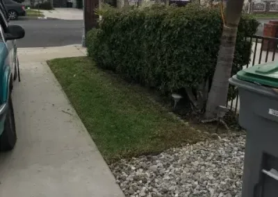 Professional lawn care service in Torrance, CA by Veras Brothers Lawn Care Service