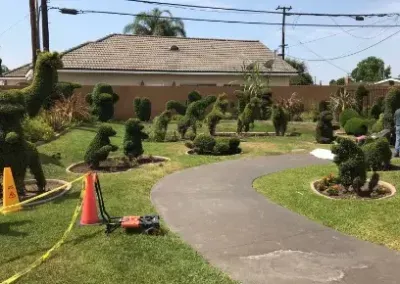 Custom lawn mowing service for homes in Torrance, CA by Veras Brothers Lawn Care Service