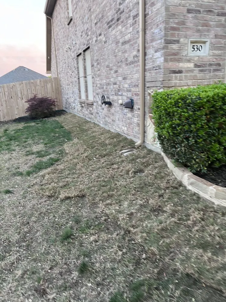 Reliable lawn mowing service for outdoor upgrades across Royse City, TX - Vera’s Lawncare