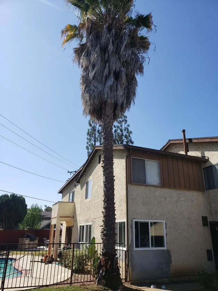 Reliable garden landscaping in Gardena, CA by Vera’s Tree Service