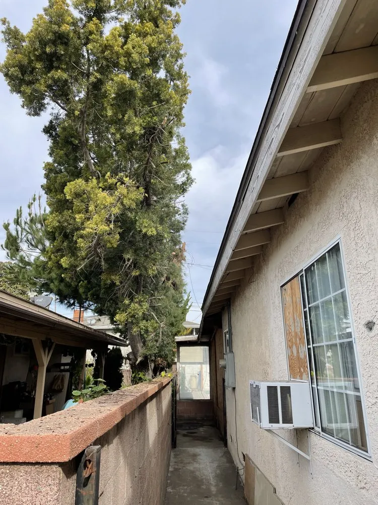 Reliable outdoor landscaping in Gardena, CA - Vera’s Tree Service