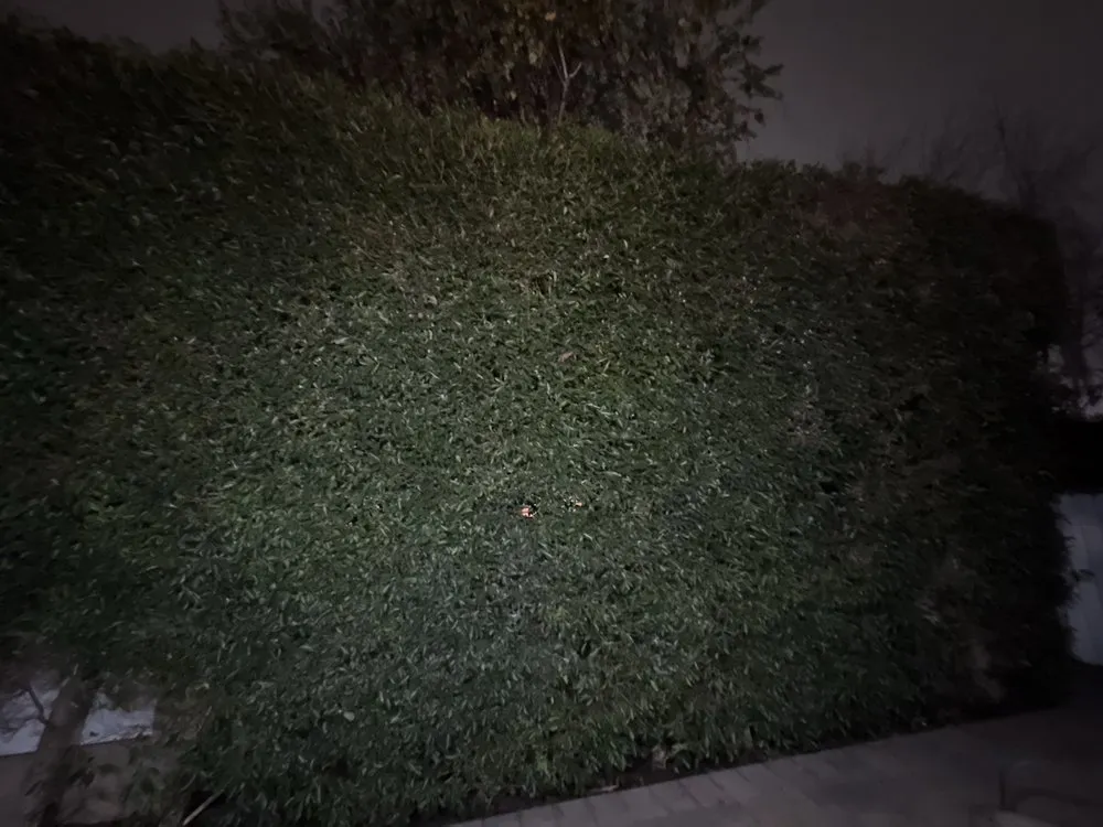 Expert lawn mowing service with custom design in Gardena, CA by Vera’s Tree Service