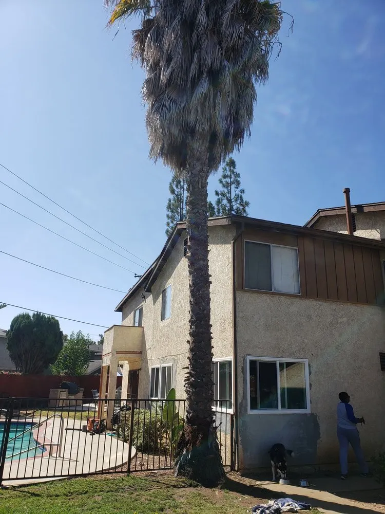 Local landscaping services for outdoor upgrades across Gardena, CA - Vera’s Tree Service