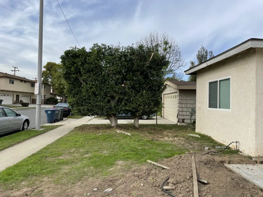 Trusted outdoor landscaping for residential properties across Gardena, CA - Vera’s Tree Service