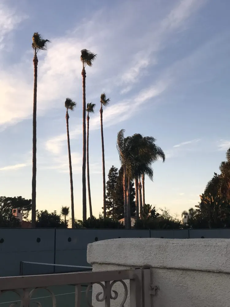 Local yard maintenance for beautiful yards across Gardena, CA - Vera’s Tree Service