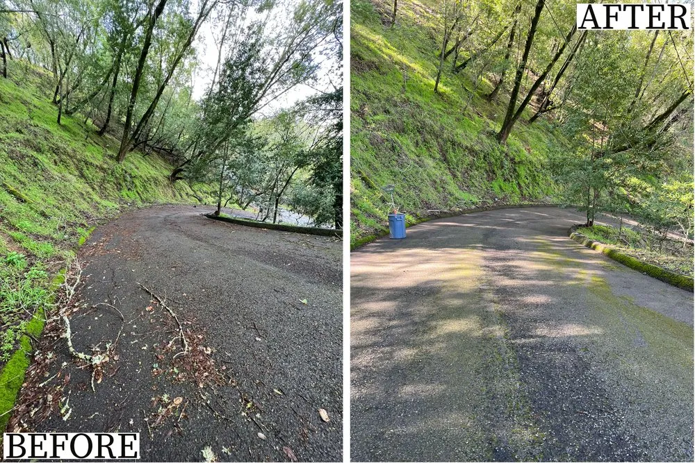 Top-rated lawn care service experts serving Novato, CA - Verawood Landscape