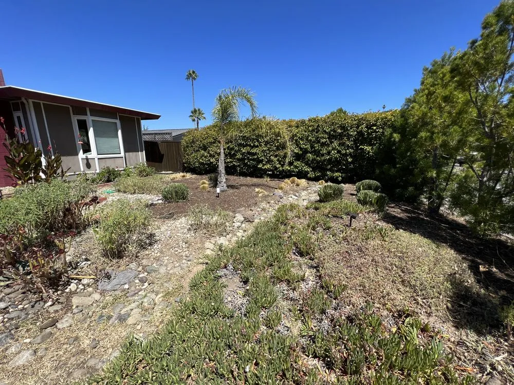 Affordable lawn mowing service for year-round maintenance across Novato, CA - Verawood Landscape