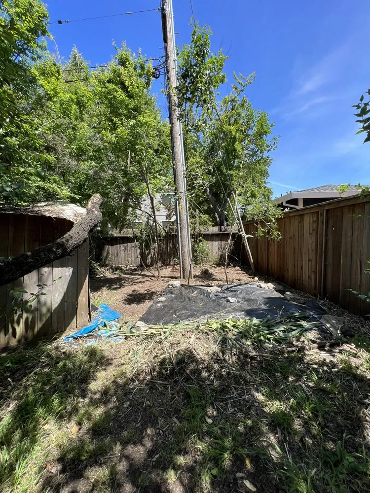 Custom lawn mowing service for homes in Novato, CA by Verawood Landscape