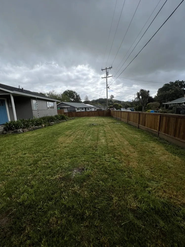 Top-rated outdoor landscaping in Novato, CA - Verawood Landscape