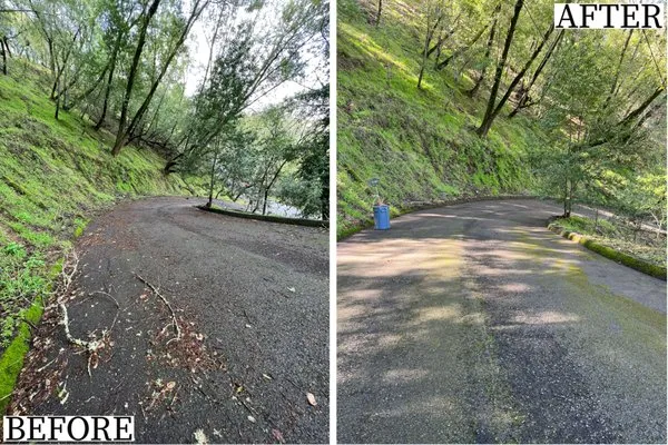 Verawood Landscape Logo