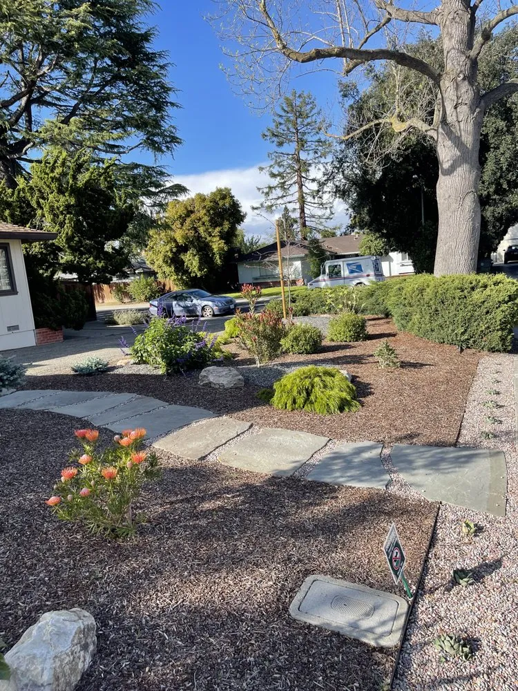 Reliable yard maintenance in East Palo Alto, CA by Verbena Landscaping