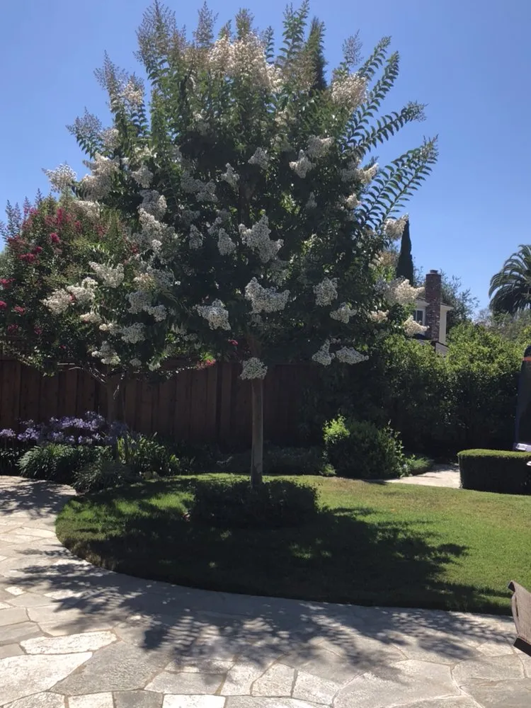 Top-rated landscape design experts serving East Palo Alto, CA - Verbena Landscaping