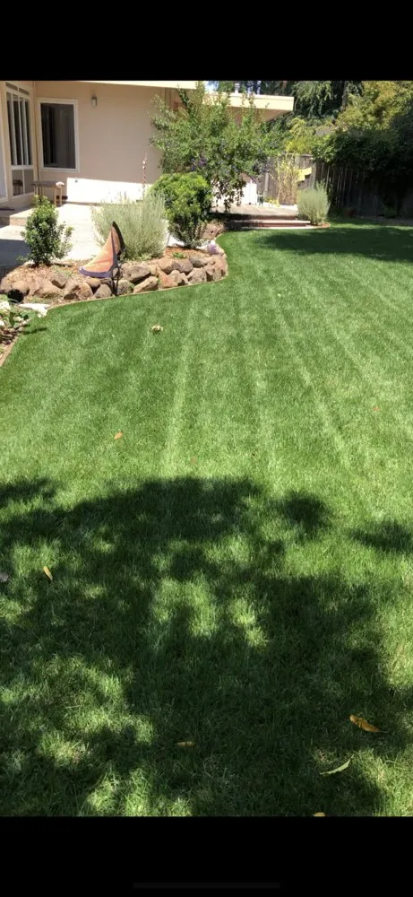 Affordable yard maintenance for outdoor upgrades in East Palo Alto, CA by Verbena Landscaping