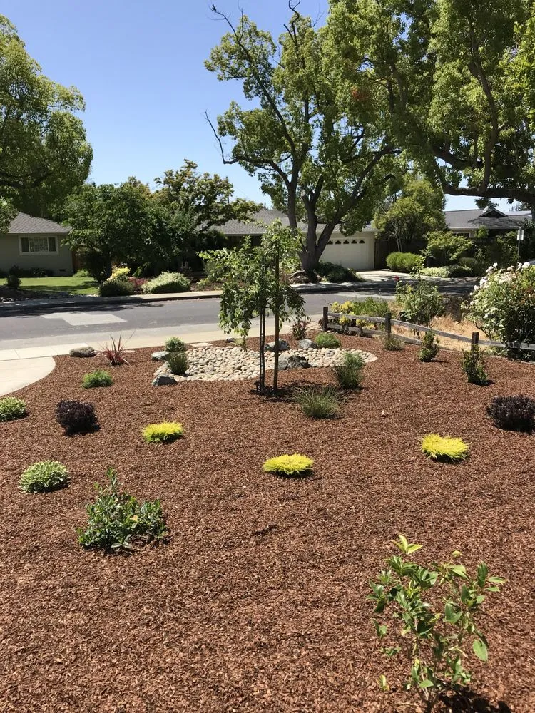 Professional yard maintenance in East Palo Alto, CA by Verbena Landscaping
