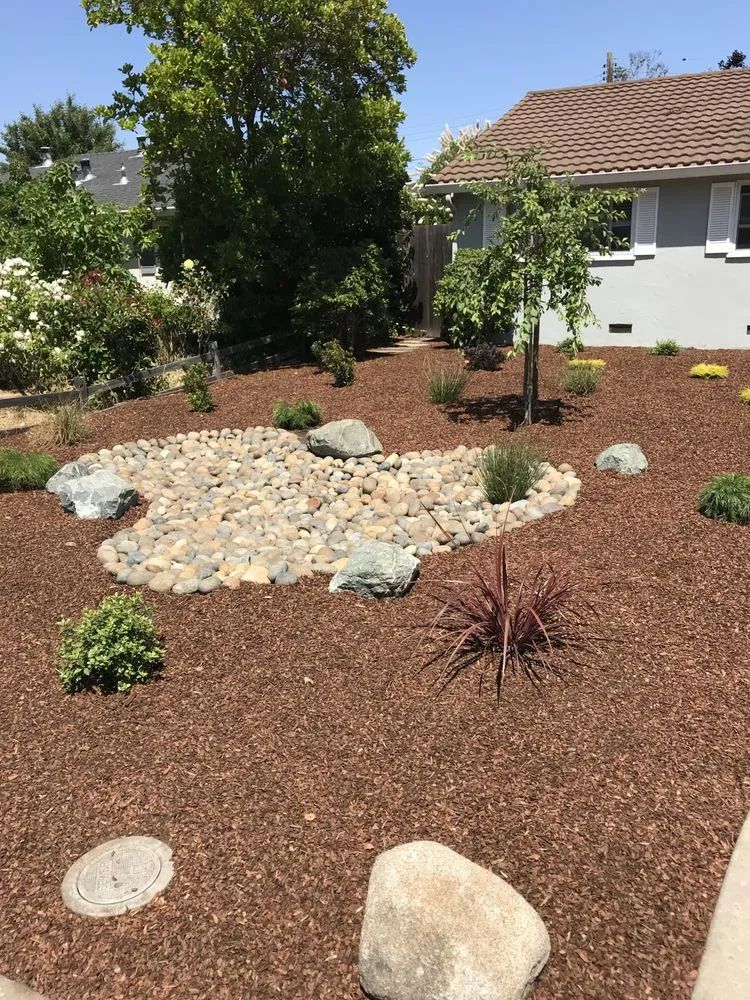 Affordable lawn mowing service experts serving East Palo Alto, CA - Verbena Landscaping