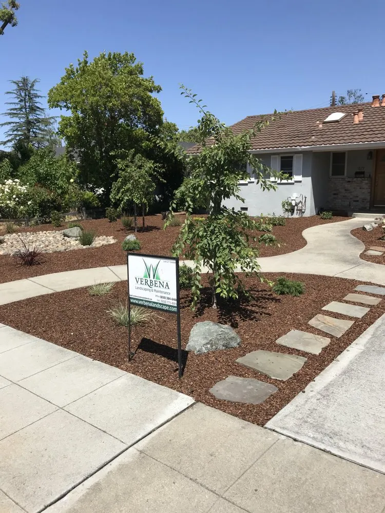 Affordable yard maintenance in East Palo Alto, CA by Verbena Landscaping
