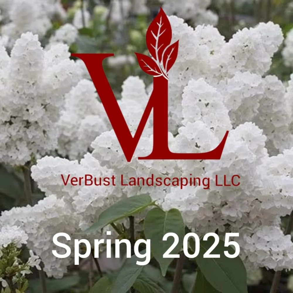 Reliable yard cleanup service for year-round maintenance in Appleton, WI by VerBust Landscapes