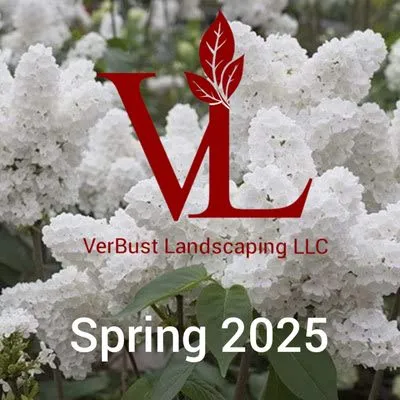 VerBust Landscapes Logo