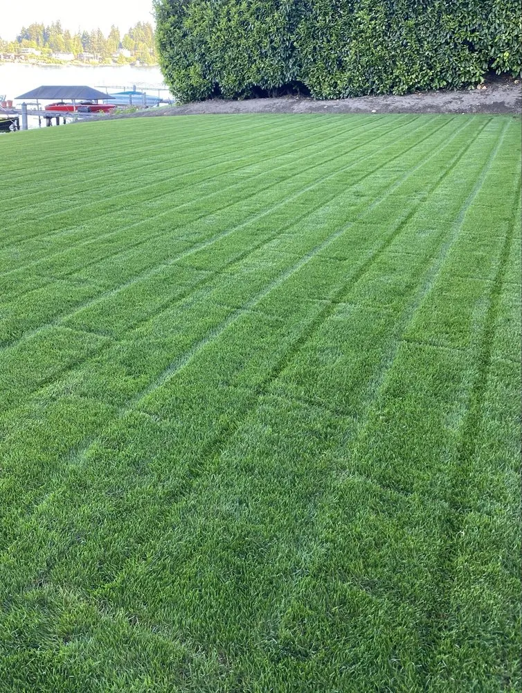 Affordable outdoor landscaping in Shoreline, WA - Verdancraft