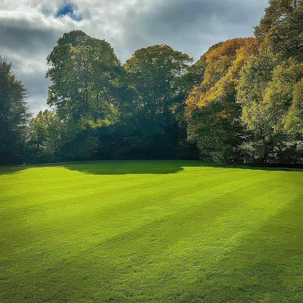 Top-rated garden landscaping in Terrebonne, OR by Verdant Greens